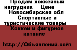 Продам хоккейный нагрудник. › Цена ­ 700 - Новосибирская обл. Спортивные и туристические товары » Хоккей и фигурное катание   